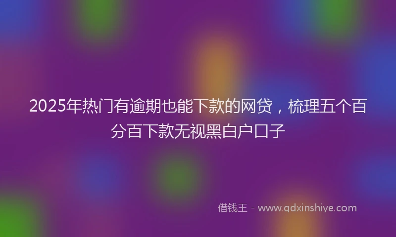 2025年热门有逾期也能下款的网贷，梳理五个百分百下款无视黑白户口子