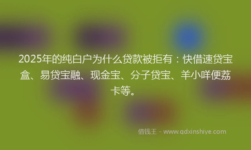 2025年的纯白户为什么贷款被拒有：快借速贷宝盒、易贷宝融、现金宝、分子贷宝、羊小咩便荔卡等。