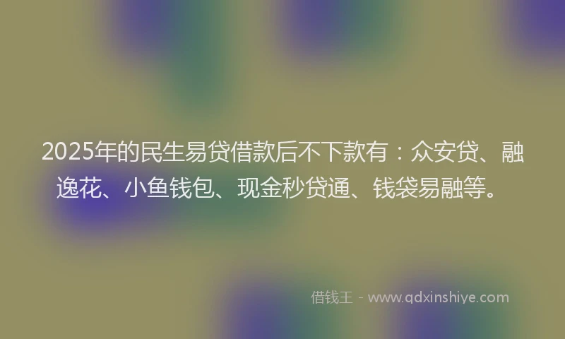 2025年的民生易贷借款后不下款有：众安贷、融逸花、小鱼钱包、现金秒贷通、钱袋易融等。