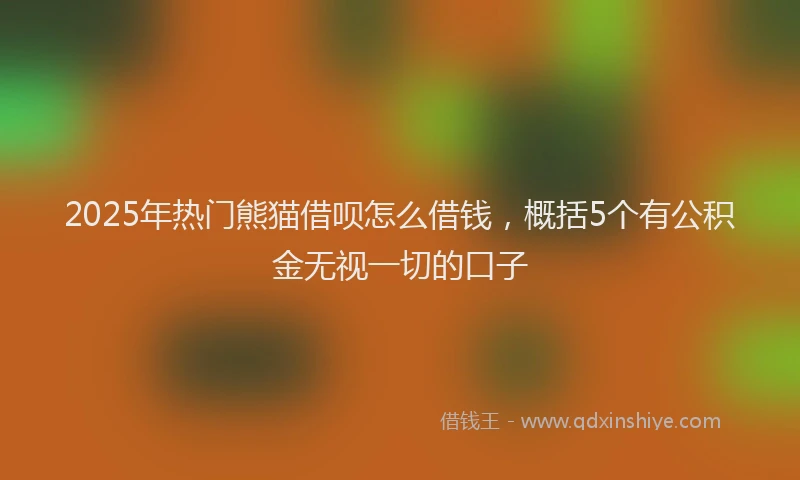 2025年热门熊猫借呗怎么借钱，概括5个有公积金无视一切的口子