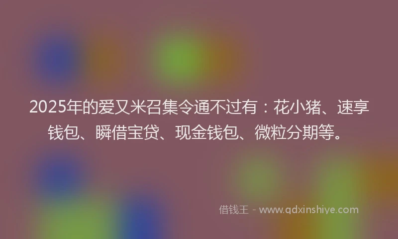 2025年的爱又米召集令通不过有：花小猪、速享钱包、瞬借宝贷、现金钱包、微粒分期等。