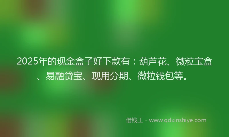 2025年的现金盒子好下款有：葫芦花、微粒宝盒、易融贷宝、现用分期、微粒钱包等。