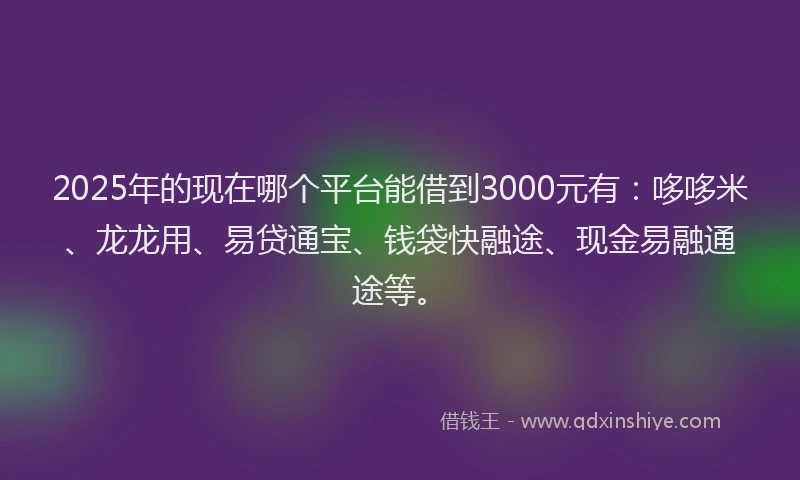 2025年的现在哪个平台能借到3000元有：哆哆米、龙龙用、易贷通宝、钱袋快融途、现金易融通途等。
