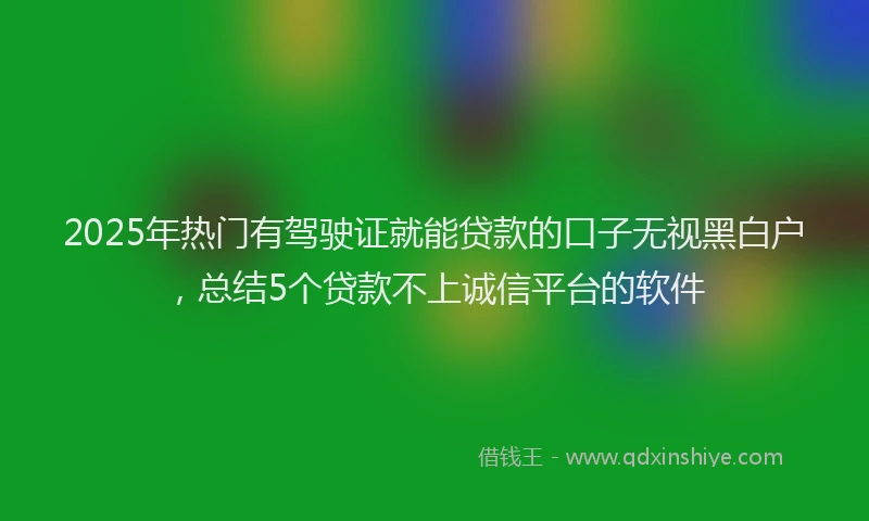 2025年热门有驾驶证就能贷款的口子无视黑白户，总结5个贷款不上诚信平台的软件