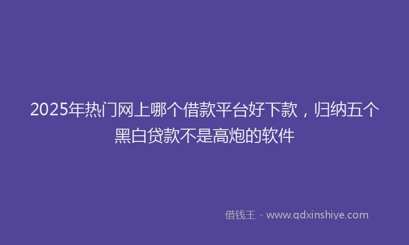 2025年热门网上哪个借款平台好下款，归纳五个黑白贷款不是高炮的软件
