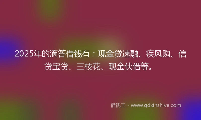 2025年的滴答借钱有：现金贷速融、疾风购、信贷宝贷、三枝花、现金侠借等。