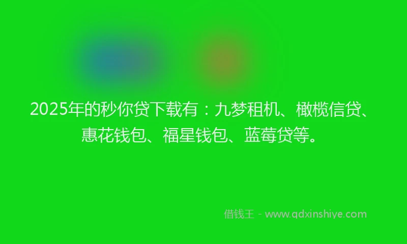 2025年的秒你贷下载有：九梦租机、橄榄信贷、惠花钱包、福星钱包、蓝莓贷等。