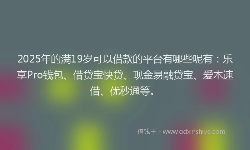 2025年的满19岁可以借款的平台有哪些呢有：乐享Pro钱包、借贷宝快贷、现金易融贷宝、爱木速借、优秒通等。