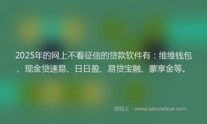 2025年的网上不看征信的贷款软件有：维维钱包、现金贷速易、日日盈、易贷宝融、蒙享金等。