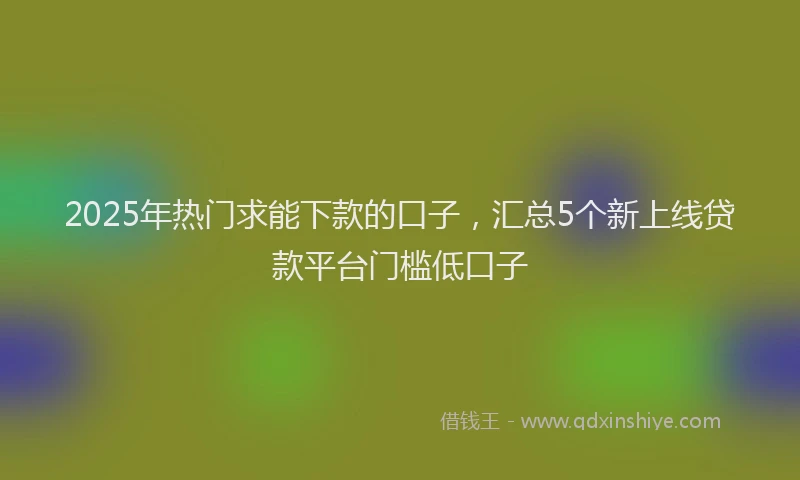 2025年热门求能下款的口子，汇总5个新上线贷款平台门槛低口子