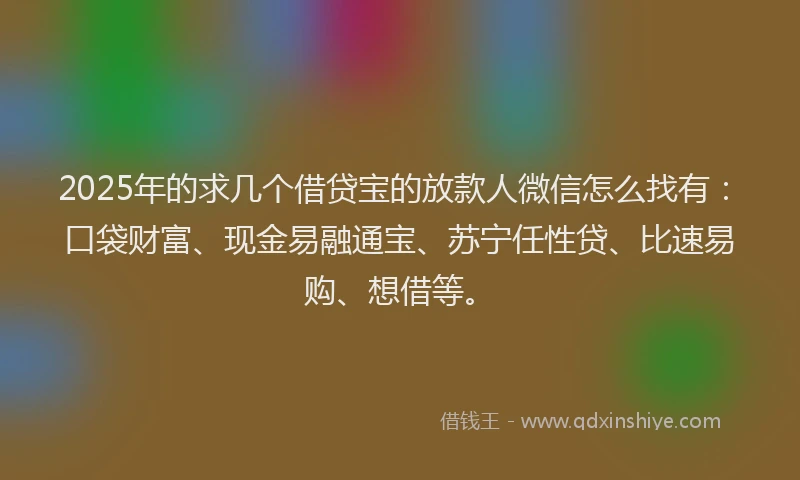 2025年的求几个借贷宝的放款人微信怎么找有：口袋财富、现金易融通宝、苏宁任性贷、比速易购、想借等。