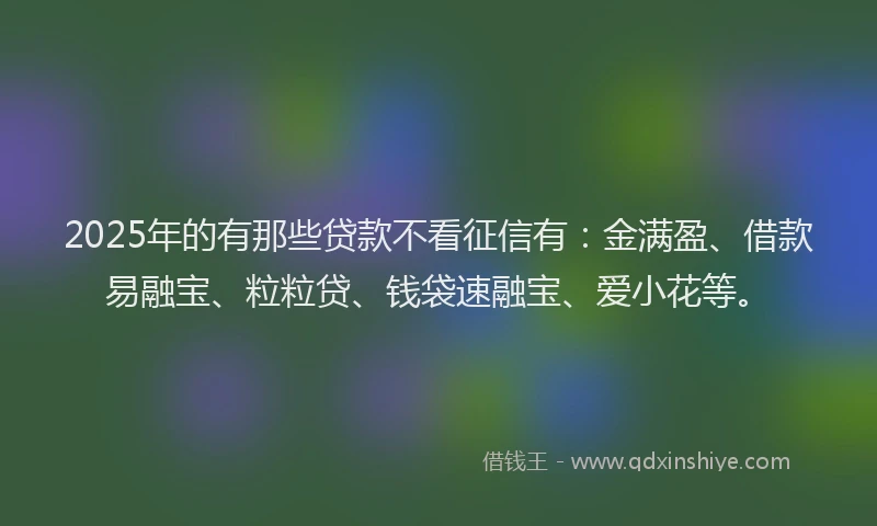2025年的有那些贷款不看征信有：金满盈、借款易融宝、粒粒贷、钱袋速融宝、爱小花等。