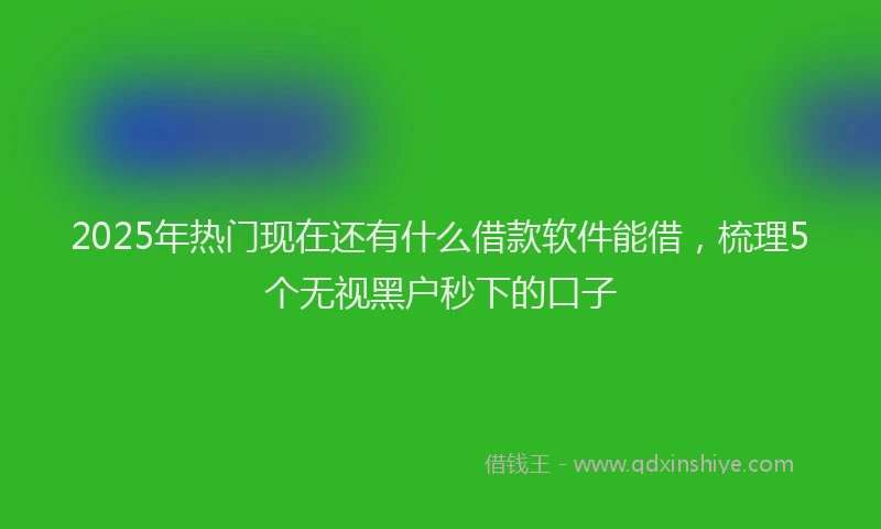 2025年热门现在还有什么借款软件能借，梳理5个无视黑户秒下的口子