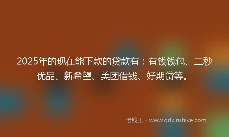 2025年的现在能下款的贷款有：有钱钱包、三秒优品、新希望、美团借钱、好期贷等。