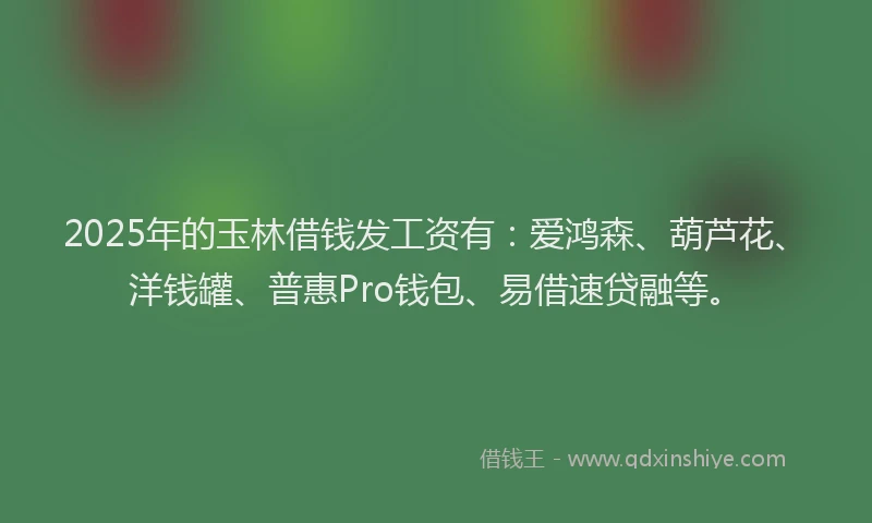 2025年的玉林借钱发工资有：爱鸿森、葫芦花、洋钱罐、普惠Pro钱包、易借速贷融等。
