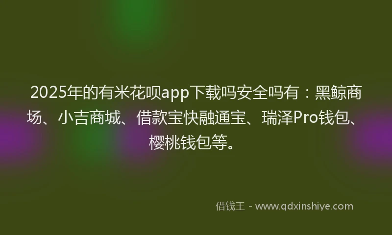 2025年的有米花呗app下载吗安全吗有：黑鲸商场、小吉商城、借款宝快融通宝、瑞泽Pro钱包、樱桃钱包等。