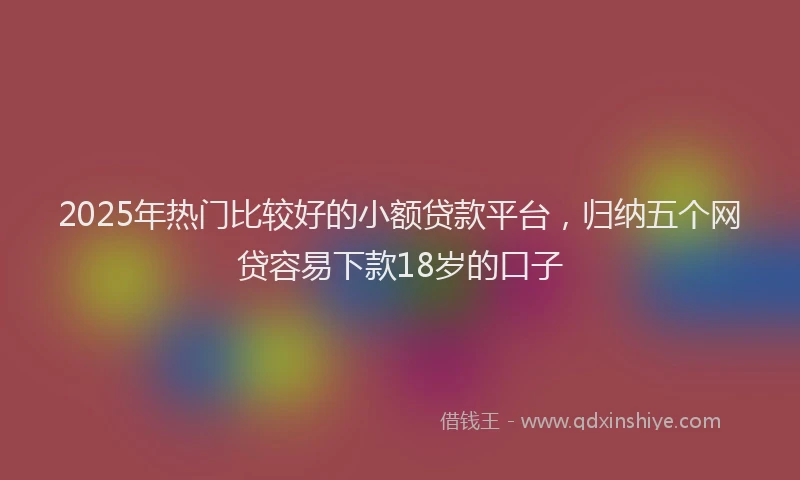 2025年热门比较好的小额贷款平台，归纳五个网贷容易下款18岁的口子