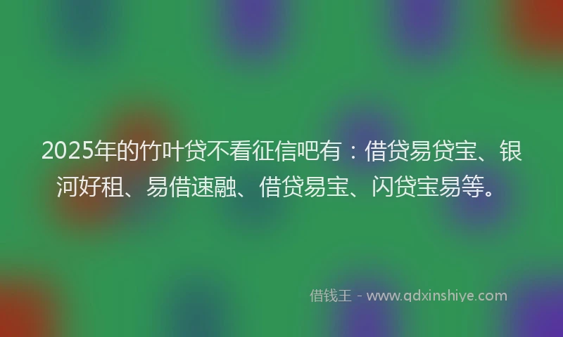 2025年的竹叶贷不看征信吧有：借贷易贷宝、银河好租、易借速融、借贷易宝、闪贷宝易等。