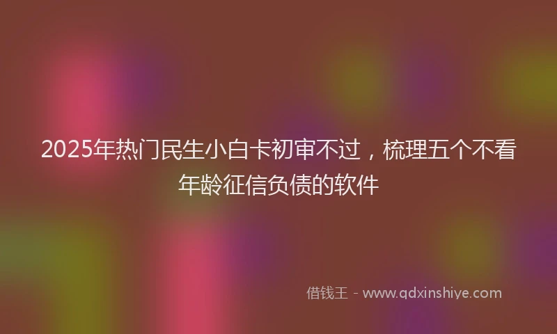 2025年热门民生小白卡初审不过，梳理五个不看年龄征信负债的软件