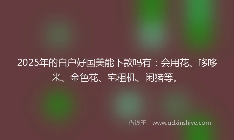 2025年的白户好国美能下款吗有：会用花、哆哆米、金色花、宅租机、闲猪等。
