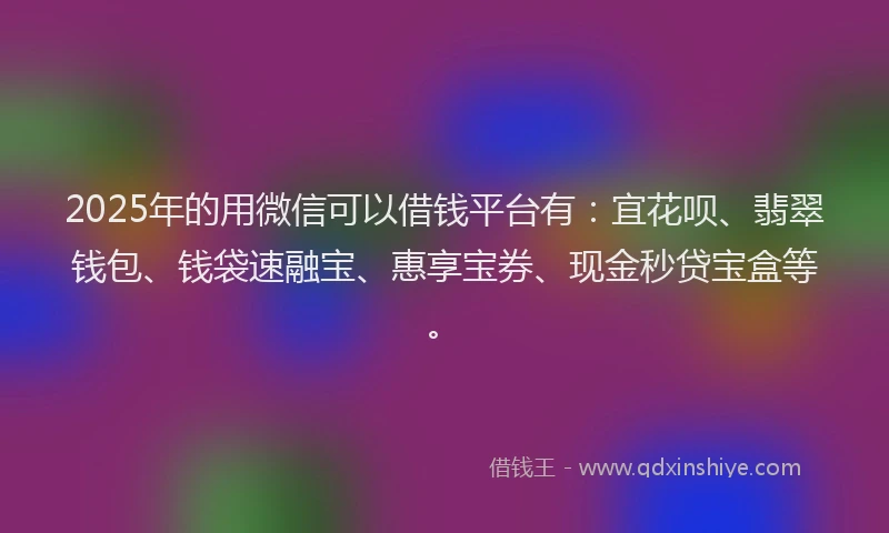 2025年的用微信可以借钱平台有：宜花呗、翡翠钱包、钱袋速融宝、惠享宝券、现金秒贷宝盒等。