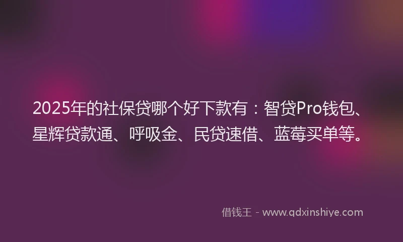 2025年的社保贷哪个好下款有：智贷Pro钱包、星辉贷款通、呼吸金、民贷速借、蓝莓买单等。