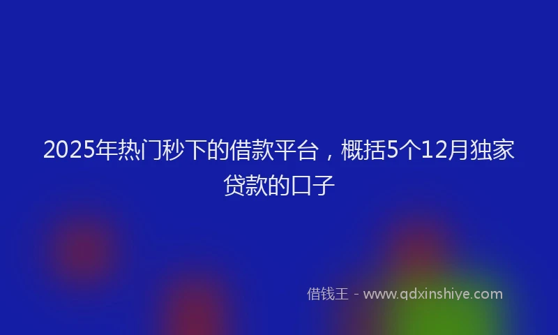 2025年热门秒下的借款平台，概括5个12月独家贷款的口子