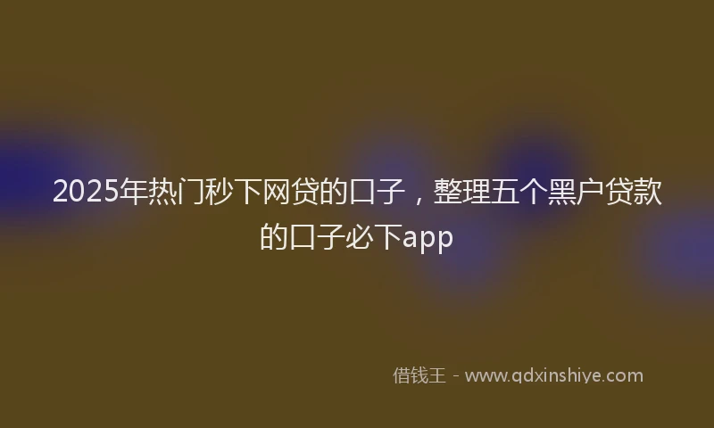 2025年热门秒下网贷的口子，整理五个黑户贷款的口子必下app