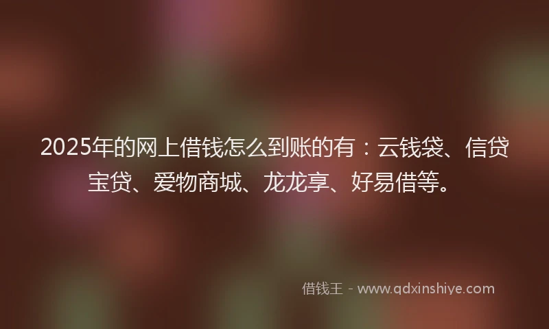 2025年的网上借钱怎么到账的有：云钱袋、信贷宝贷、爱物商城、龙龙享、好易借等。