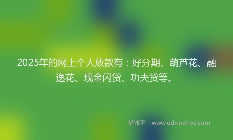 2025年的网上个人放款有：好分期、葫芦花、融逸花、现金闪贷、功夫贷等。