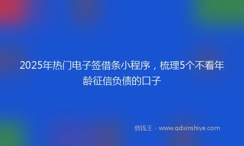 2025年热门电子签借条小程序，梳理5个不看年龄征信负债的口子