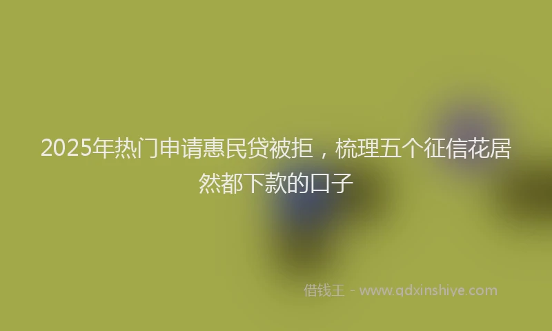 2025年热门申请惠民贷被拒，梳理五个征信花居然都下款的口子
