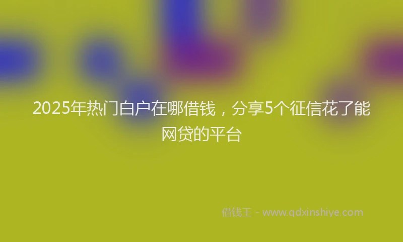 2025年热门白户在哪借钱，分享5个征信花了能网贷的平台