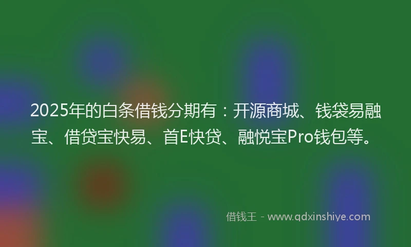 2025年的白条借钱分期有：开源商城、钱袋易融宝、借贷宝快易、首E快贷、融悦宝Pro钱包等。