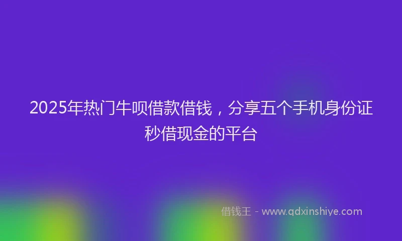 2025年热门牛呗借款借钱，分享五个手机身份证秒借现金的平台