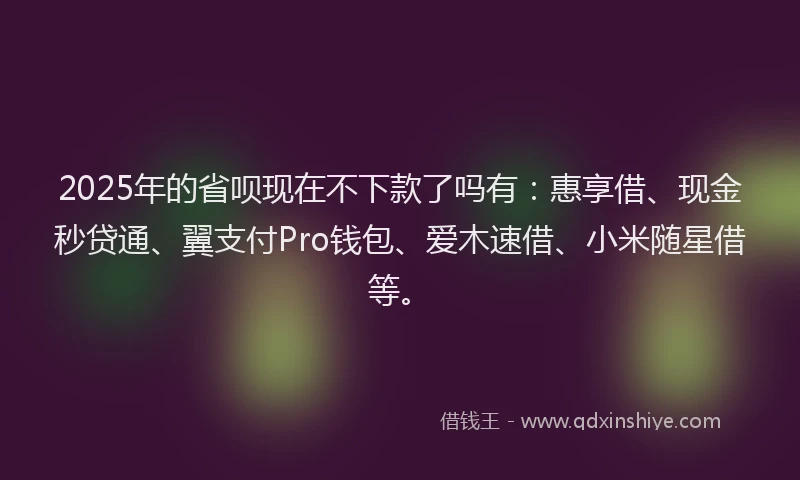 2025年的省呗现在不下款了吗有：惠享借、现金秒贷通、翼支付Pro钱包、爱木速借、小米随星借等。