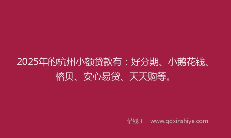 2025年的杭州小额贷款有：好分期、小鹅花钱、榕贝、安心易贷、天天购等。