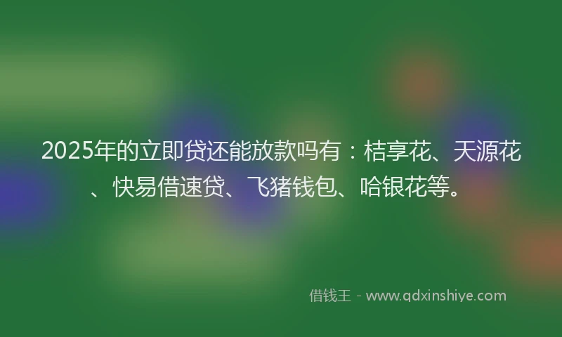 2025年的立即贷还能放款吗有：桔享花、天源花、快易借速贷、飞猪钱包、哈银花等。