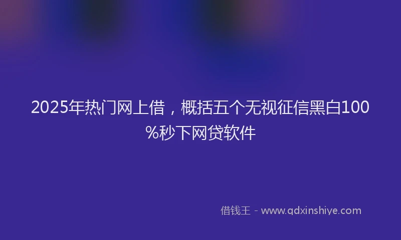 2025年热门网上借，概括五个无视征信黑白100%秒下网贷软件