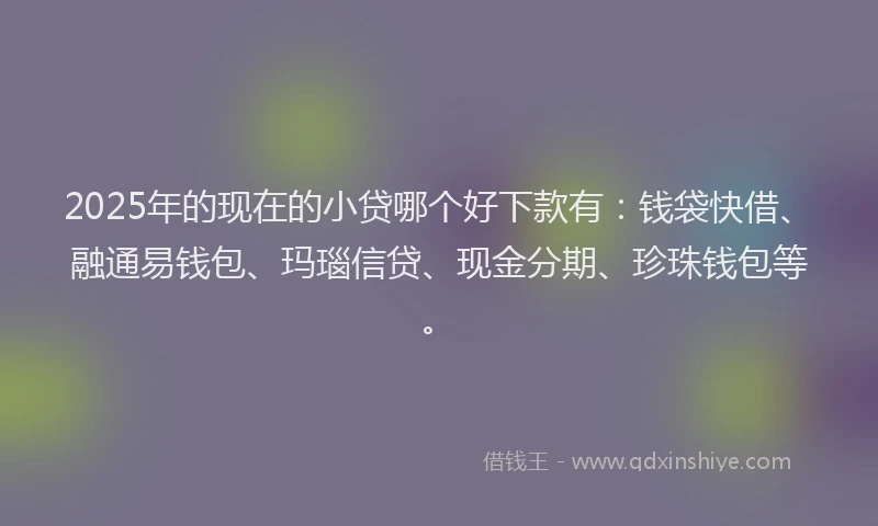 2025年的现在的小贷哪个好下款有：钱袋快借、融通易钱包、玛瑙信贷、现金分期、珍珠钱包等。