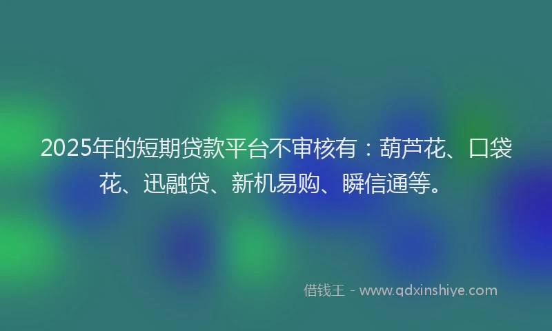 2025年的短期贷款平台不审核有：葫芦花、口袋花、迅融贷、新机易购、瞬信通等。
