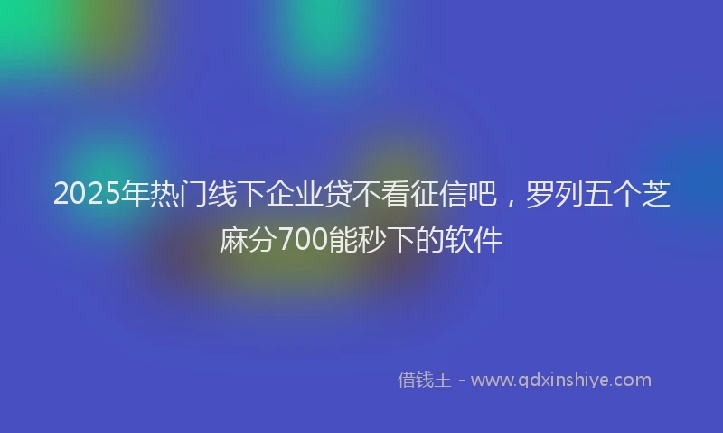 2025年热门线下企业贷不看征信吧，罗列五个芝麻分700能秒下的软件