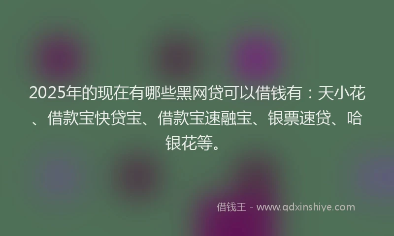 2025年的现在有哪些黑网贷可以借钱有：天小花、借款宝快贷宝、借款宝速融宝、银票速贷、哈银花等。