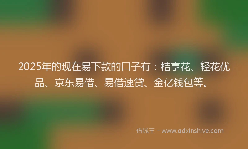 2025年的现在易下款的口子有：桔享花、轻花优品、京东易借、易借速贷、金亿钱包等。