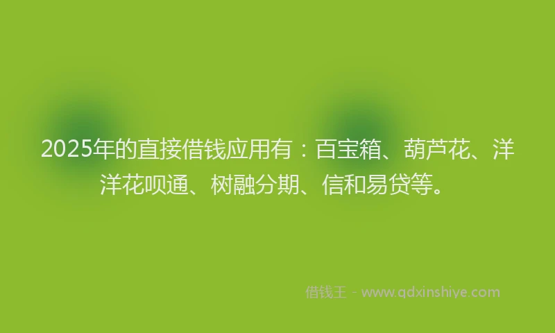 2025年的直接借钱应用有：百宝箱、葫芦花、洋洋花呗通、树融分期、信和易贷等。