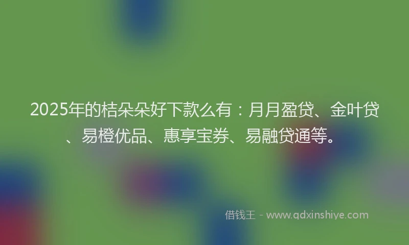 2025年的桔朵朵好下款么有：月月盈贷、金叶贷、易橙优品、惠享宝券、易融贷通等。