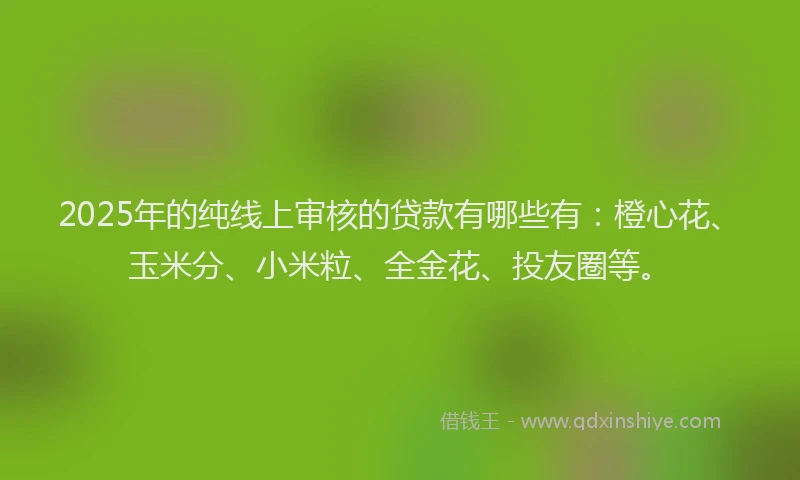 2025年的纯线上审核的贷款有哪些有：橙心花、玉米分、小米粒、全金花、投友圈等。