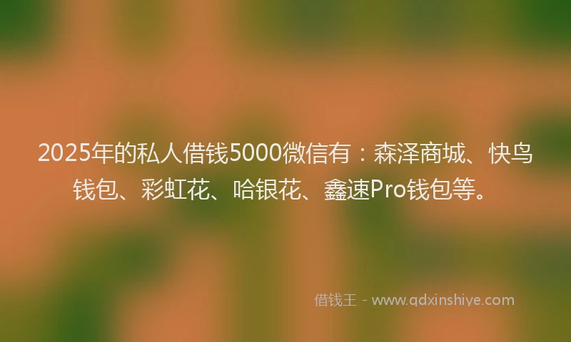 2025年的私人借钱5000微信有：森泽商城、快鸟钱包、彩虹花、哈银花、鑫速Pro钱包等。