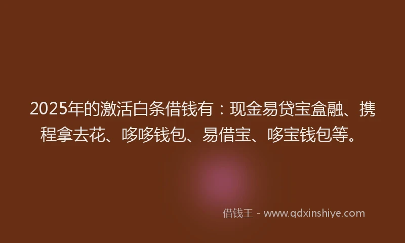 2025年的激活白条借钱有：现金易贷宝盒融、携程拿去花、哆哆钱包、易借宝、哆宝钱包等。