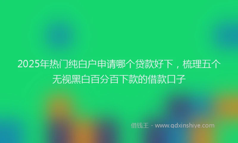 2025年热门纯白户申请哪个贷款好下，梳理五个无视黑白百分百下款的借款口子